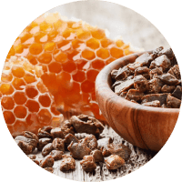 Экстракт прополиса